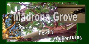 new blog cover 2