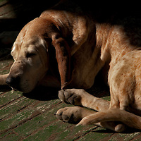 Winter in New Mexico
