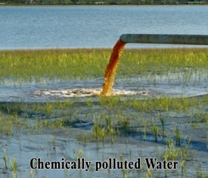 Chemically-polluted-Water