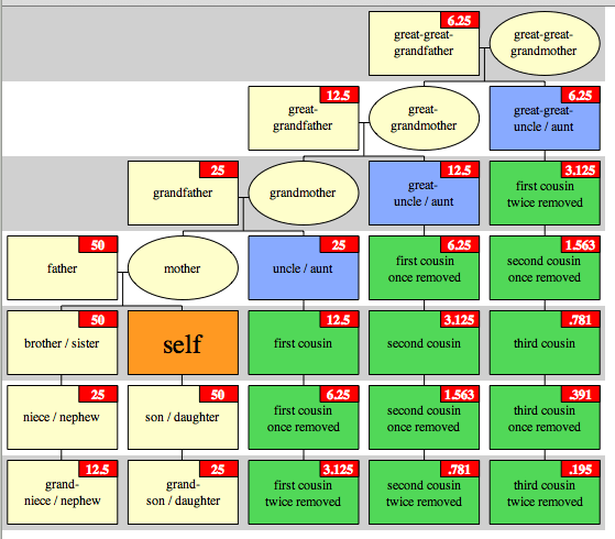 dna-shared-between-relatives