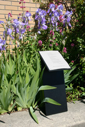 Poetry displayed on a metal pedestal outside the downtown Bellingham Library
