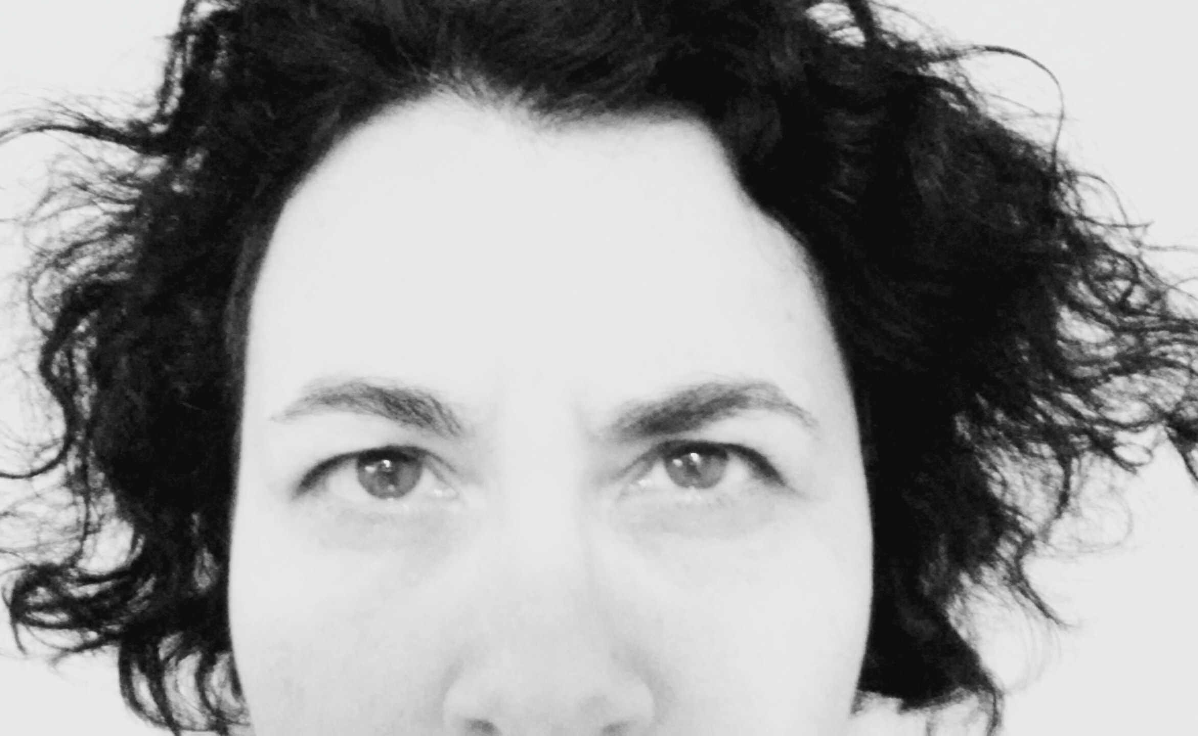 splaws-stare_-dec-2016