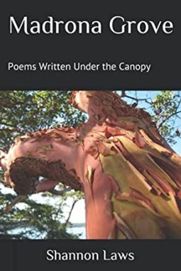 madrona grove cover paper back may 2013